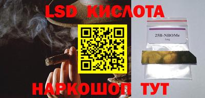 крисы Волгодонск