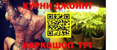 крисы Волгодонск