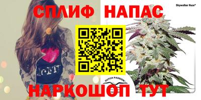 крисы Волгодонск