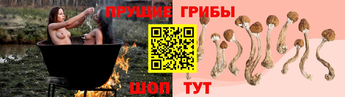 Псилоцибиновые грибы Psilocybe Тельмана
